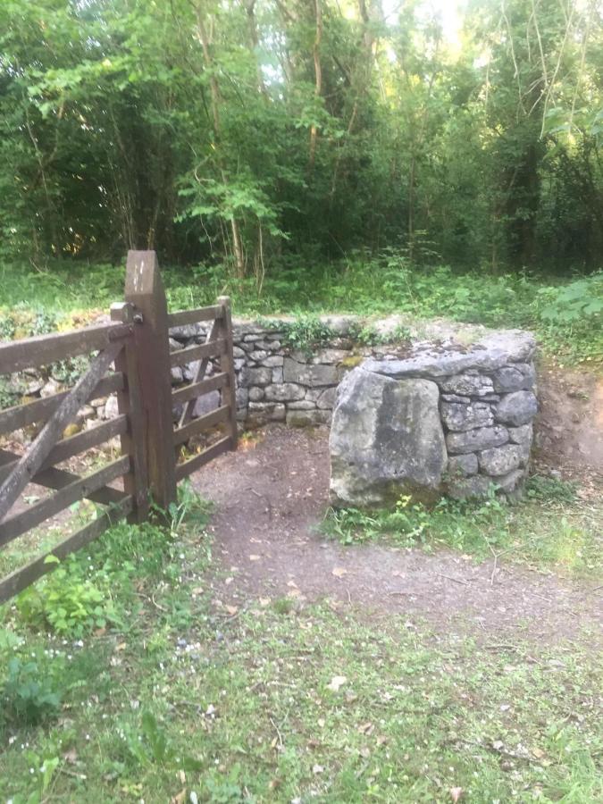 Red Robin Nest Lejlighed Galway Eksteriør billede